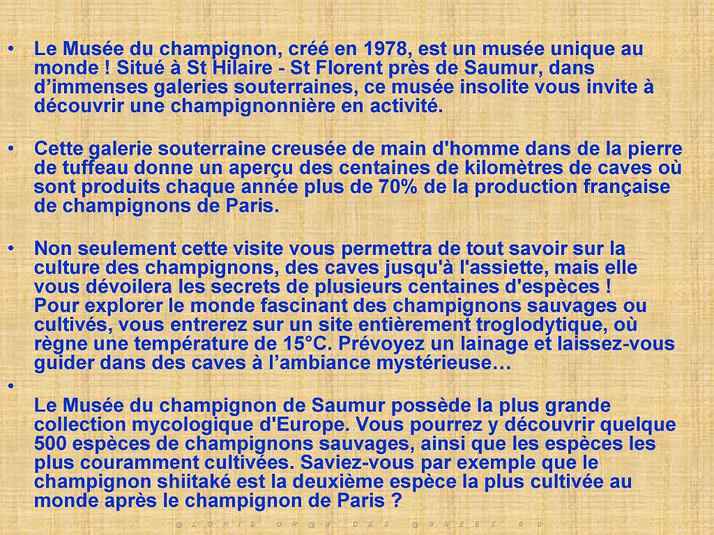 149 MUSEE DU CHAMPIGNON A  SAUMUR 2016 1_000003.jpg